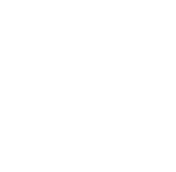 Choups citroen logo