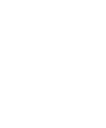 Choups suzuki logo